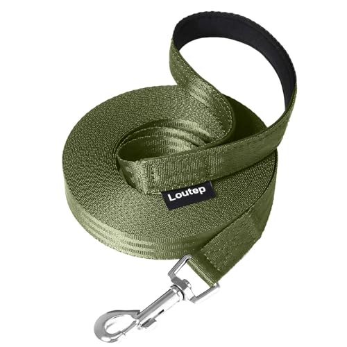 Loutep Trainingsleine für Hunde, 3 m, 5 m, 10 m, 15 m, 20 m, 25 m, 30 m, starkes Nylonseil, extra lange Leine, Hundeleine mit gepolstertem Griff für große, mittelgroße und kleine Welpen, Rückruf, Loutep Trainingsleine für Hunde, 3 m, 5 m, 10 m, 15 m, 20 m, 25 m, 30 m, starkes Nylonseil, extra lange Leine, Hundeleine mit gepolstertem Griff für große, mittelgroße und kleine Welpen, Rückruf, von Loutep