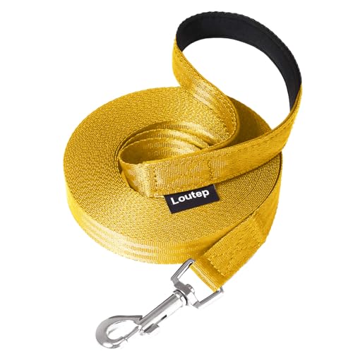 Loutep Trainingsleine für Hunde, 3 m, 5 m, 10 m, 15 m, 20 m, 25 m, 30 m, starkes Nylonseil, extra lange Leine, Hundeleine mit gepolstertem Griff für große, mittelgroße und kleine Welpen, Rückruf, Loutep Trainingsleine für Hunde, 3 m, 5 m, 10 m, 15 m, 20 m, 25 m, 30 m, starkes Nylonseil, extra lange Leine, Hundeleine mit gepolstertem Griff für große, mittelgroße und kleine Welpen, Rückruf, von Loutep