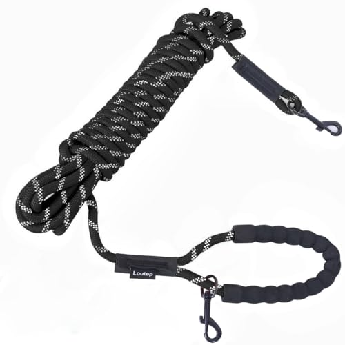 Loutep Wasserdichtes Biothane Long Line Hundetrainingsseil Extra Starkes Indoor House Long Line Training Hundeseil 3.0 m 4.9 m 9.1 m 15.2 m 30.5 m Gummiseil für große mittelgroße kleine Welpen von Loutep