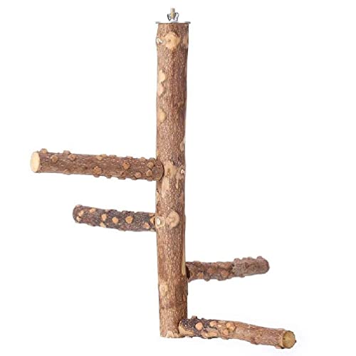 LovIntry Vogelspielzeug, Vogelsitz-Spielzeug, Vogelspielzeug für Käfigvögel, natürliches Holz, Sitzstange, Spielzeug für Papageien, Stehstäbe, 4 kurze Ständer für kleine und mittelgroße Vögel, von LovIntry