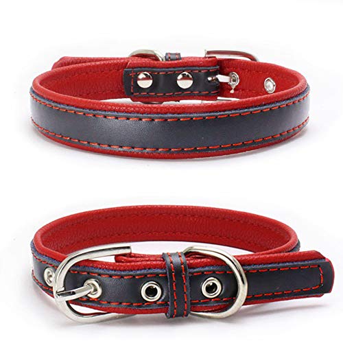 Love Dream Gepolstertes Hundehalsband aus Leder, 6 Farben, strapazierfähig, verstellbar, für kleine, mittelgroße und große Hunde (S (26,9 - 33 cm), Rot) von Love Dream