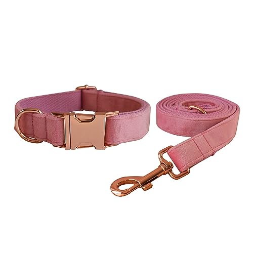 Samt-Hundehalsband und Leine, weiches und bequemes Hundehalsband und Leine, robuste Metallschnalle, verstellbare Halsbänder für kleine, mittelgroße und große Hunde, Training und Spazierengehen Samt-Hundehalsband und Leine, weiches und bequemes Hundehalsband und Leine, robuste Metallschnalle, verstellbare Halsbänder für kleine, mittelgroße und große Hunde, Training und Spazierengehen von Love Dream