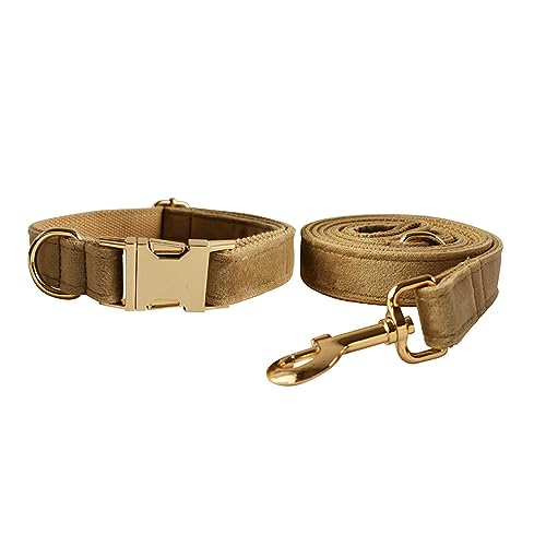 Samt-Hundehalsband und Leine, weiches und bequemes Hundehalsband und Leine, robuste Metallschnalle, verstellbare Halsbänder für kleine, mittelgroße und große Hunde, Training und Spazierengehen Samt-Hundehalsband und Leine, weiches und bequemes Hundehalsband und Leine, robuste Metallschnalle, verstellbare Halsbänder für kleine, mittelgroße und große Hunde, Training und Spazierengehen von Love Dream