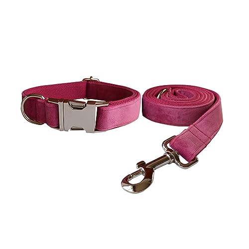 Samt-Hundehalsband und Leine, weiches und bequemes Hundehalsband und Leine, robuste Metallschnalle, verstellbare Halsbänder für kleine, mittelgroße und große Hunde, Training und Spazierengehen Samt-Hundehalsband und Leine, weiches und bequemes Hundehalsband und Leine, robuste Metallschnalle, verstellbare Halsbänder für kleine, mittelgroße und große Hunde, Training und Spazierengehen von Love Dream