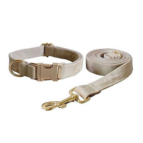 Samt-Hundehalsband und Leine, weiches und bequemes Hundehalsband und Leine, robuste Metallschnalle, verstellbare Halsbänder für kleine, mittelgroße und große Hunde, Training und Spazierengehen Samt-Hundehalsband und Leine, weiches und bequemes Hundehalsband und Leine, robuste Metallschnalle, verstellbare Halsbänder für kleine, mittelgroße und große Hunde, Training und Spazierengehen von Love Dream