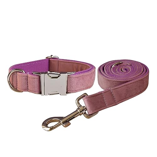 Samt-Hundehalsband und Leine, weiches und bequemes Hundehalsband und Leine, robuste Metallschnalle, verstellbare Halsbänder für kleine, mittelgroße und große Hunde, Training und Spazierengehen Samt-Hundehalsband und Leine, weiches und bequemes Hundehalsband und Leine, robuste Metallschnalle, verstellbare Halsbänder für kleine, mittelgroße und große Hunde, Training und Spazierengehen von Love Dream