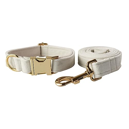 Samt-Hundehalsband und Leine, weiches und bequemes Hundehalsband und Leine, robuste Metallschnalle, verstellbare Halsbänder für kleine, mittelgroße und große Hunde, Training und Spazierengehen Samt-Hundehalsband und Leine, weiches und bequemes Hundehalsband und Leine, robuste Metallschnalle, verstellbare Halsbänder für kleine, mittelgroße und große Hunde, Training und Spazierengehen von Love Dream