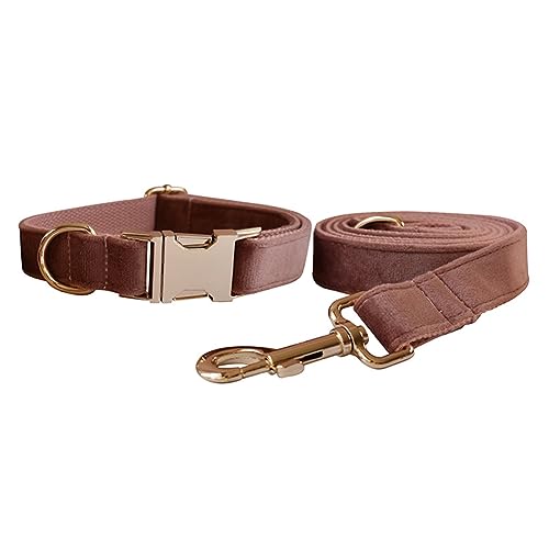 Samt-Hundehalsband und Leine, weiches und bequemes Hundehalsband und Leine, robuste Metallschnalle, verstellbare Halsbänder für kleine, mittelgroße und große Hunde, Training und Spaziergänge (S Samt-Hundehalsband und Leine, weiches und bequemes Hundehalsband und Leine, robuste Metallschnalle, verstellbare Halsbänder für kleine, mittelgroße und große Hunde, Training und Spaziergänge (S von Love Dream