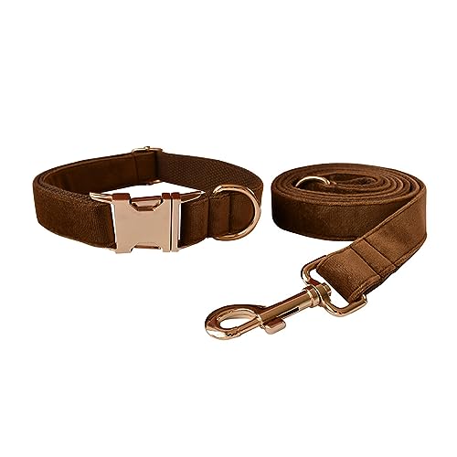 Samt-Hundehalsband und Leine, weiches und bequemes Hundehalsband und Leine, robuste Metallschnalle, verstellbare Halsbänder für kleine, mittelgroße und große Hunde, Training und Spaziergänge (Größe S Samt-Hundehalsband und Leine, weiches und bequemes Hundehalsband und Leine, robuste Metallschnalle, verstellbare Halsbänder für kleine, mittelgroße und große Hunde, Training und Spaziergänge (Größe S von Love Dream