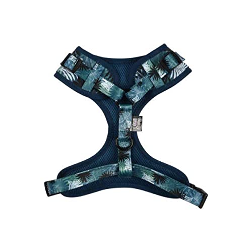 Sondey Paris Prix Hundegeschirr, verstellbar, Eden, 41-54 cm, Blau Sondey Paris Prix Hundegeschirr, verstellbar, Eden, 41-54 cm, Blau von Love Story