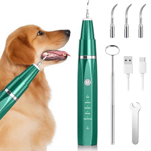 Zahnsteinentferner Zahnreiniger Ultraschall für Hund und Katze, Zahnpflege Set für Hunde & Katzen, Zahnreinigung und Reinigungsset Bekämpft Zahnstein Mundgeruch & Zahnfleischentzündungen, Grüner Zahnsteinentferner Zahnreiniger Ultraschall für Hund und Katze, Zahnpflege Set für Hunde & Katzen, Zahnreinigung und Reinigungsset Bekämpft Zahnstein Mundgeruch & Zahnfleischentzündungen, Grüner von Love begans