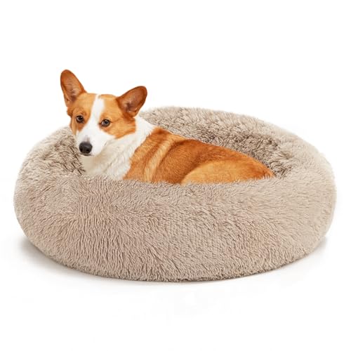 Love's cabin 76,2 cm Katzenbetten für Indoor-Katzen – Katzenbett mit maschinenwaschbarem, wasserdichtem Boden – Taupe flauschiges Hunde- und Katzenkissen, beruhigendes Kissen für Gelenkentlastung und Love's cabin 76,2 cm Katzenbetten für Indoor-Katzen – Katzenbett mit maschinenwaschbarem, wasserdichtem Boden – Taupe flauschiges Hunde- und Katzenkissen, beruhigendes Kissen für Gelenkentlastung und von Love's cabin
