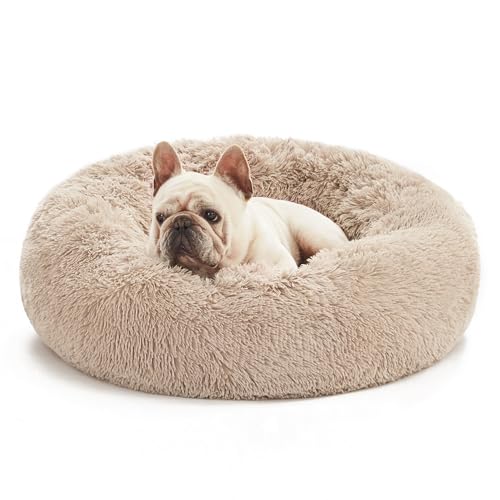 Love's cabin Hundebett mittelgroße kleine Hunde flauschig rund donut 60cm - Hundekissen waschbar mit rutschfest Unterseite Hundekorb Hundebetten - Hunde Bett Katzenbett für Gelenkentlastung und Schlaf Love's cabin Hundebett mittelgroße kleine Hunde flauschig rund donut 60cm - Hundekissen waschbar mit rutschfest Unterseite Hundekorb Hundebetten - Hunde Bett Katzenbett für Gelenkentlastung und Schlaf von Love's cabin