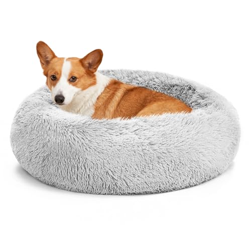 Love's cabin Katzenbett für Indoor-Katzen, 76,2 cm, mit maschinenwaschbarer, wasserdichter Unterseite, graues flauschiges Hunde- und Katzenbett zur Gelenkentlastung und Verbesserung des Schlafes Love's cabin Katzenbett für Indoor-Katzen, 76,2 cm, mit maschinenwaschbarer, wasserdichter Unterseite, graues flauschiges Hunde- und Katzenbett zur Gelenkentlastung und Verbesserung des Schlafes von Love's cabin