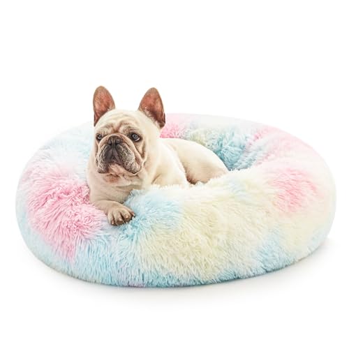 Love's cabin Katzenbett für Indoor-Katzen, maschinenwaschbar, wasserdichte Unterseite, flauschiges Hunde-Bett zur Gelenkentlastung und Schlafverbesserung, 50,8 cm, Regenbogen Love's cabin Katzenbett für Indoor-Katzen, maschinenwaschbar, wasserdichte Unterseite, flauschiges Hunde-Bett zur Gelenkentlastung und Schlafverbesserung, 50,8 cm, Regenbogen von Love's cabin