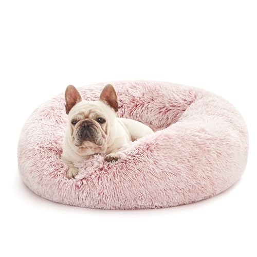 Love's cabin Katzenbetten für Indoor-Katzen, 61 cm, mit maschinenwaschbarer, wasserdichter Unterseite, flauschiges beruhigendes Hunde- und Haustierbett zur Gelenkentlastung und Verbesserung des Love's cabin Katzenbetten für Indoor-Katzen, 61 cm, mit maschinenwaschbarer, wasserdichter Unterseite, flauschiges beruhigendes Hunde- und Haustierbett zur Gelenkentlastung und Verbesserung des von Love's cabin