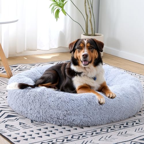 LoveClaw Waschbares Hundebett, Donut-Bett, Haustierbett, Hellgrau, 61 cm LoveClaw Waschbares Hundebett, Donut-Bett, Haustierbett, Hellgrau, 61 cm von LoveClaw