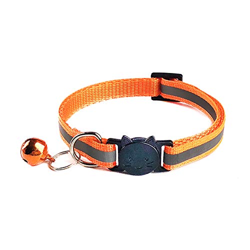 LovePlz Hundehalsband, reflektierend, verstellbar, mit Schnalle, Orange von LovePlz