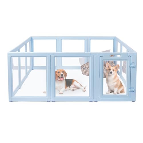 LoveTail DIY Laufgitter aus transparentem Acryl, schnelle und einfache Montage und Demontage, Starke Boden-Saugnäpfung, für den Innen- und Außenbereich, leicht zu reinigender Welpenzaun (Himmelblau LoveTail DIY Laufgitter aus transparentem Acryl, schnelle und einfache Montage und Demontage, Starke Boden-Saugnäpfung, für den Innen- und Außenbereich, leicht zu reinigender Welpenzaun (Himmelblau von LoveTail