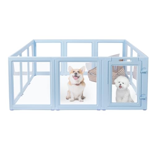 LoveTail DIY Laufgitter aus transparentem Acryl, schnelle und einfache Montage und Demontage, starke Boden-Saugnäpfung, für den Innen- und Außenbereich, leicht zu reinigender Welpenzaun (Himmelblau LoveTail DIY Laufgitter aus transparentem Acryl, schnelle und einfache Montage und Demontage, starke Boden-Saugnäpfung, für den Innen- und Außenbereich, leicht zu reinigender Welpenzaun (Himmelblau von LoveTail