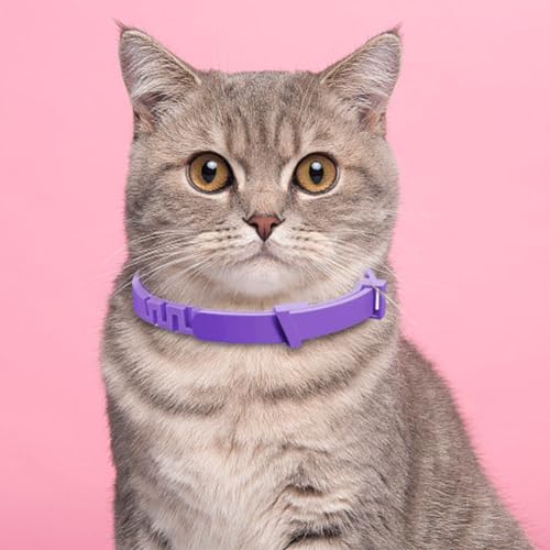Lovehomily 3/4 Packung Pheromon-Halsbänder zur Stress- und Angstlinderung, beruhigendes, beruhigendes Halsband, verstellbar, natürliche Ruhe, Entspannung, beruhigende Halsbänder for Katzen u Lovehomily 3/4 Packung Pheromon-Halsbänder zur Stress- und Angstlinderung, beruhigendes, beruhigendes Halsband, verstellbar, natürliche Ruhe, Entspannung, beruhigende Halsbänder for Katzen u von Lovehomily