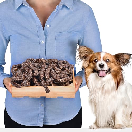Beef Sausage Hundesnacks 1kg (ca. 110-115 Stück) | luftgetrocknete Kausnacks | Eiweißreich & getreidefrei | Fettarm | Hypoallergener Snack für alle Hunderassen von Lovely DOG