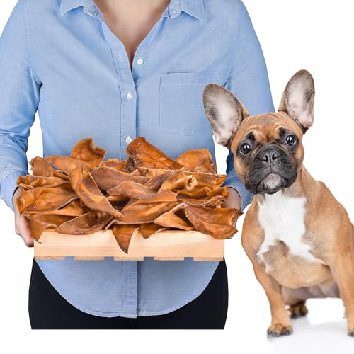Halbe Schweineohren für Hunde 20 Stück (400g) | Natürliche Kausnacks aus Schwein | Getreidefrei & Langanhaltend | Luftgetrocknete Schweineohren | Gesunder Snack für alle Hunderassen von Lovely DOG