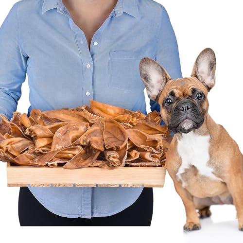 Halbe Schweineohren für Hunde 50 Stück (1kg) | Natürliche Kausnacks aus Schwein | Getreidefrei & Luftgetrocknet | Langanhaltender Kauspaß | Gesunder Snack für alle Hunderassen von Lovely DOG