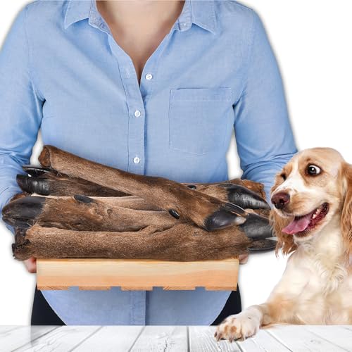 Hirschbeine mit Fell für Hunde 5 Stück | Getrocknete Wild-Kauartikel | 100 % natürlich | Mit Fell | Luftgetrocknet | Getreidefrei | Langer Kauspaß für kleine & große Hunde Hirschbeine mit Fell für Hunde 5 Stück | Getrocknete Wild-Kauartikel | 100 % natürlich | Mit Fell | Luftgetrocknet | Getreidefrei | Langer Kauspaß für kleine & große Hunde von Lovely DOG