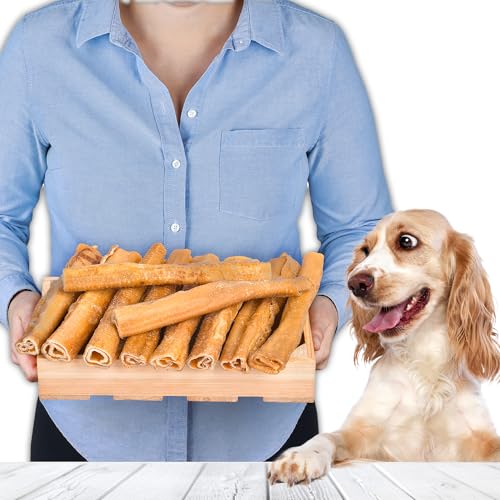 Krokett aus Schweinehaut 20cm 10 Stück | Natürlicher Hundesnack | Schweinehaut Kausnack | Zahnpflege Leckerli für Hunde Aller Größen Krokett aus Schweinehaut 20cm 10 Stück | Natürlicher Hundesnack | Schweinehaut Kausnack | Zahnpflege Leckerli für Hunde Aller Größen von Lovely DOG