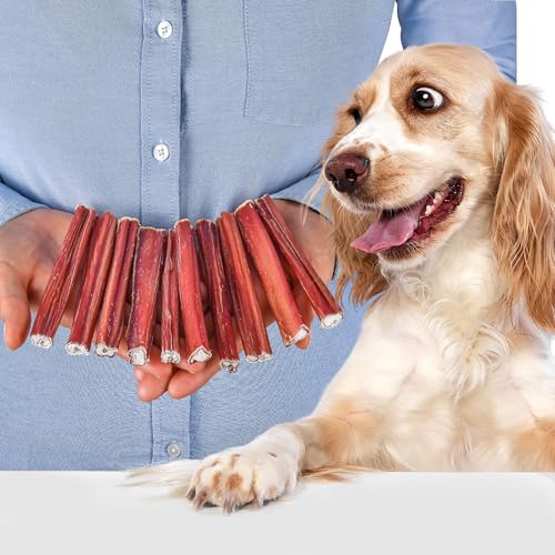 Ochsenziemer | Leckerli Hund | Ochsenziemer Hund | Hunde kauartikel | Kauknochen welpen | Hundeknochen große Hunde (10 stück (1er Pack), Kalbsziemer (XS)) von Lovely DOG