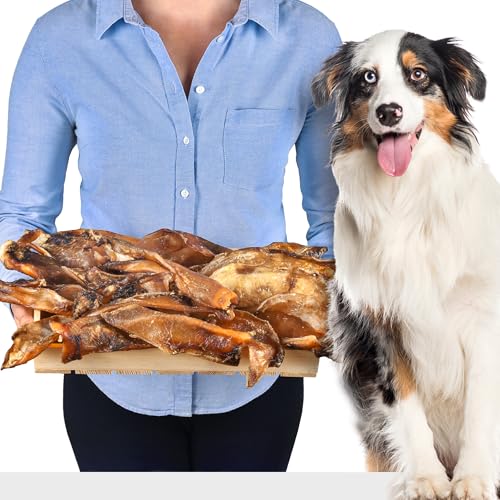 Rinderknorpel 1 kg | Natürlicher Kauartikel für Hunde | Zahnpflege | Premium-Qualität Rinderknorpel 1 kg | Natürlicher Kauartikel für Hunde | Zahnpflege | Premium-Qualität von Lovely DOG