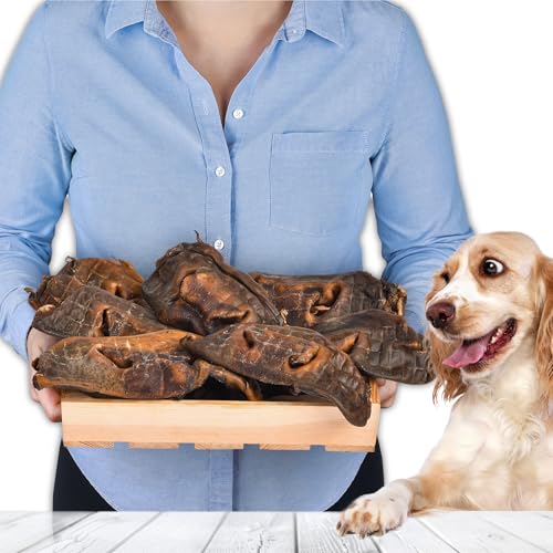 Rindernasen für Hunde 1kg 4 Stück | Getrocknete Rindernasen Kausnack | 100% natürlich | Getreidefrei | Luftgetrocknet | Kauartikel für kleine & große Hunde Rindernasen für Hunde 1kg 4 Stück | Getrocknete Rindernasen Kausnack | 100% natürlich | Getreidefrei | Luftgetrocknet | Kauartikel für kleine & große Hunde von Lovely DOG