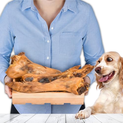 Schweinefüße halbiert 1 kg 3 Stück | Natürlicher Kausnack für Hunde | Schmackhafter Snack | Höchste Qualität Schweinefüße halbiert 1 kg 3 Stück | Natürlicher Kausnack für Hunde | Schmackhafter Snack | Höchste Qualität von Lovely DOG