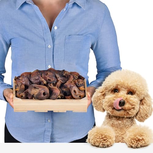Schweinenasen Naturprodukt für Hunde | Gesunde Hundesnacks zur Zahnpflege | Proteinquelle | Ideal für Diät und Langzeitbeschäftigung (500 g (1er Pack)) von Lovely DOG