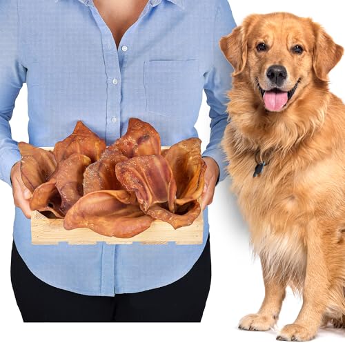 Schweineohren (10 Stück) | Leckerlis für Hunde | Hundeknochen für große Hunde von Lovely DOG