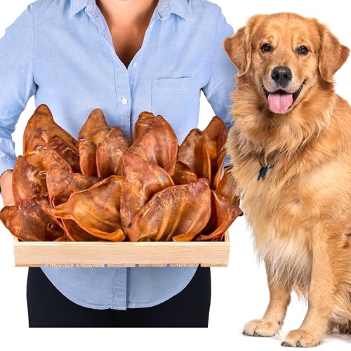 Schweineohren (20 Stück) | Leckerlis für Hunde | Hundeknochen für große Hunde von Lovely DOG