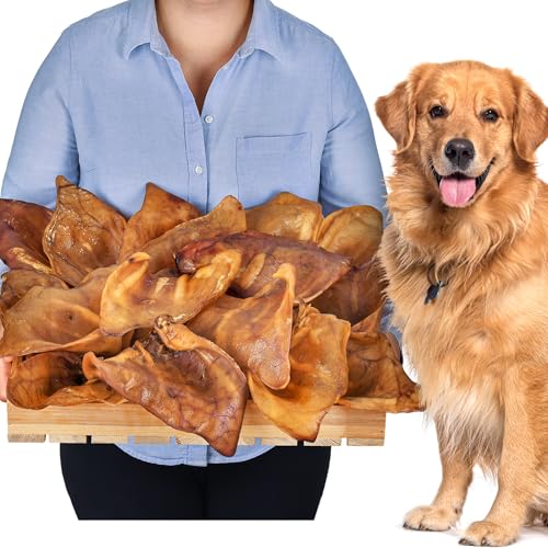 Schweineohren für Hunde 20 Stück Größe XL 1,2kg | Ganze getrocknete Schweineohren Kauartikel | 100% natürlich | Langanhaltender Kauspaß | Getreidefrei | Ideal für kleine & große Hunde Schweineohren für Hunde 20 Stück Größe XL 1,2kg | Ganze getrocknete Schweineohren Kauartikel | 100% natürlich | Langanhaltender Kauspaß | Getreidefrei | Ideal für kleine & große Hunde von Lovely DOG