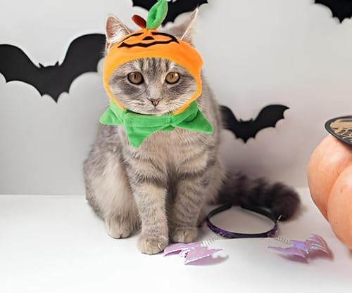 Haustier-Halloween-Kostüm, verstellbarer orangefarbener Kürbis und kleiner Teufelshut, mit zwei quadratischen Schals, geeignet für Halloween-Dekoration Haustier-Halloween-Kostüm, verstellbarer orangefarbener Kürbis und kleiner Teufelshut, mit zwei quadratischen Schals, geeignet für Halloween-Dekoration von LovelyPaws