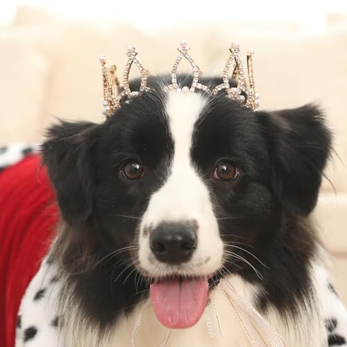 Lovelyshop Die phallenkollektion vergoldeten royal Saury-perlen mit volldressierten Hunden und Katzen Haarschmuck in Größere grössen. Lovelyshop Die phallenkollektion vergoldeten royal Saury-perlen mit volldressierten Hunden und Katzen Haarschmuck in Größere grössen. von Lovelyshop