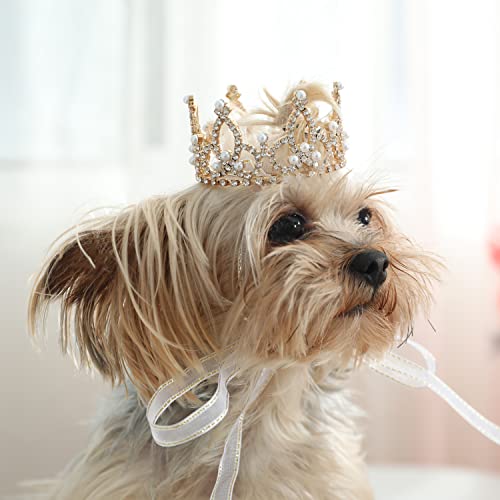 Lovelyshop Die phallenkollektion vergoldeten royal Saury-perlen mit volldressierten Hunden und Katzen Haarschmuck in X klein von Lovelyshop