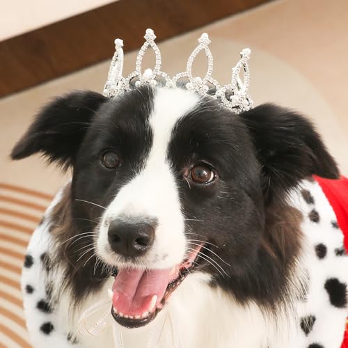 Lovelyshop Königstiger crouncey-Diamant-perlen mit vollgestyltem Hund - und katzenkrone für Haarschmuck - nur in Größere grössen. Lovelyshop Königstiger crouncey-Diamant-perlen mit vollgestyltem Hund - und katzenkrone für Haarschmuck - nur in Größere grössen. von Lovelyshop