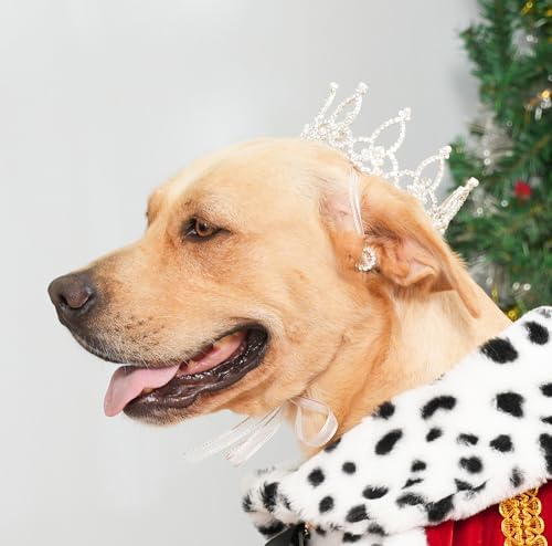 Lovelyshop Königstiger Diamant-Perlen Krone für Haustiere - Gold/Silber, XS-XL, für Hunde & Katzen von Lovelyshop
