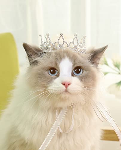 Lovelyshop Königstiger crouncey-Diamant-perlen mit vollgestyltem Hund - und katzenkrone für Haarschmuck - nur in kleinen größen Lovelyshop Königstiger crouncey-Diamant-perlen mit vollgestyltem Hund - und katzenkrone für Haarschmuck - nur in kleinen größen von Lovelyshop