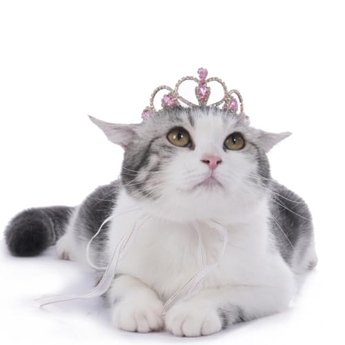 Lovelyshop Pet Serie Rosa Edelstein Gold Strass Hund/Katze Tiara Krone für Kostüm Haar Zubehör -kleine Größe Lovelyshop Pet Serie Rosa Edelstein Gold Strass Hund/Katze Tiara Krone für Kostüm Haar Zubehör -kleine Größe von Lovelyshop