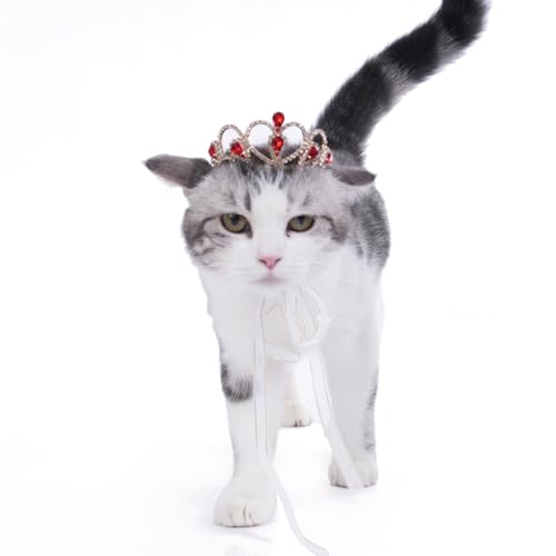 Lovelyshop Pet Serie Rot Edelstein Gold Strass Hund/Katze Tiara Krone für Kostüm Haar Zubehör -Medium Größe Lovelyshop Pet Serie Rot Edelstein Gold Strass Hund/Katze Tiara Krone für Kostüm Haar Zubehör -Medium Größe von Lovelyshop
