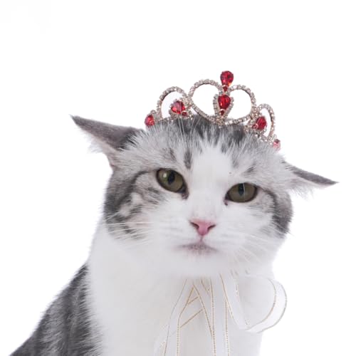Lovelyshop Pet Serie Rot Edelstein Gold Strass Hund/Katze Tiara Krone für Kostüm Haar Zubehör -kleine Größe Lovelyshop Pet Serie Rot Edelstein Gold Strass Hund/Katze Tiara Krone für Kostüm Haar Zubehör -kleine Größe von Lovelyshop