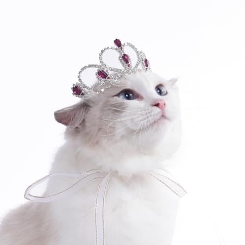 Lovelyshop Pet Serie lila Edelstein Strass Hund/Katze Tiara Krone für Kostüm Haar Zubehör -Medium Size Lovelyshop Pet Serie lila Edelstein Strass Hund/Katze Tiara Krone für Kostüm Haar Zubehör -Medium Size von Lovelyshop