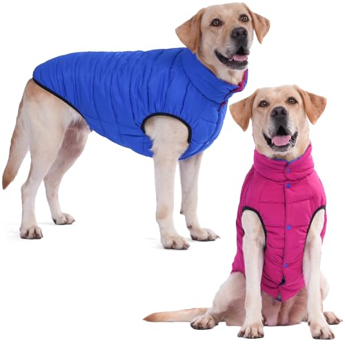 LovinPet Wendbarer Hunde-Wintermantel für mittelgroße und große Hunde, Druckknopf-Daunenjacke, doppelseitiges Design in Blau und Rot, für kaltes Wetter, Größe XXXL LovinPet Wendbarer Hunde-Wintermantel für mittelgroße und große Hunde, Druckknopf-Daunenjacke, doppelseitiges Design in Blau und Rot, für kaltes Wetter, Größe XXXL von LovinPet