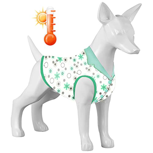 LovinPet f3fa Hundemantel, leicht zu tragen, mit bunten Minzmustern, Hundekleidung mit gemütlichem Hundefutter, warme Winterkleidung für kleine bis große Hunde von LovinPet
